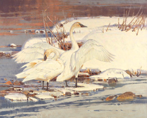 White on White - Fish Creek, 24"x30", Oil on Linen